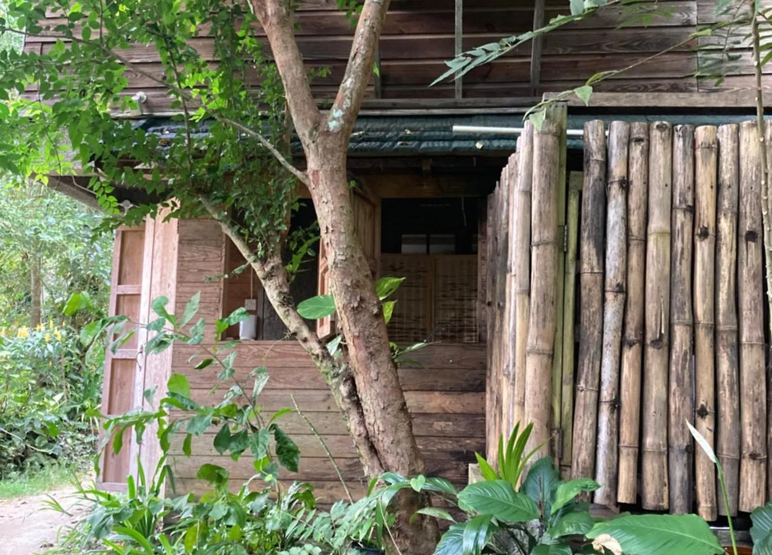Landhuis Blue Mountain Retreat Pension Kingston Jamaica