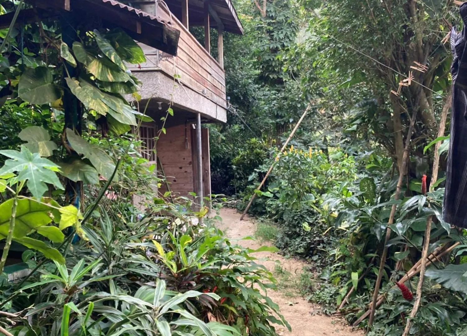 Landhuis Blue Mountain Retreat Pension Kingston